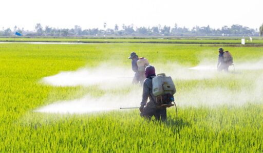 Provincia argentina de Misiones prorrogó hasta el 2030 la prohibición del glifosato