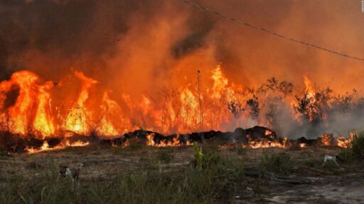 Incendios en Brasil generaron pérdidas de más de 180 millones de dólares