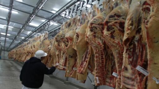 Argentina logró récord en exportaciones de carne bovina en primer semestre del año