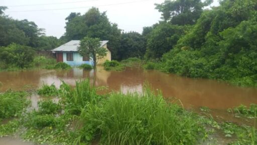 Tres estados productivos afectados por inundaciones tras el paso de onda tropical N° 28