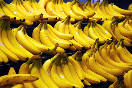 Autorizan destrucción de banano en Canarias debido a sobreoferta