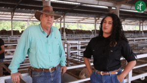 Del ordeño a la cocina: ¡La producción láctea de ovejas y cabras al descubierto!