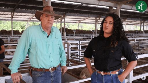 Del ordeño a la cocina: ¡La producción láctea de ovejas y cabras al descubierto!