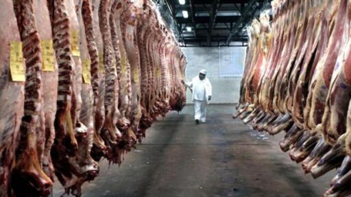 Colombia abre nuevo mercado en Irán para la exportación de carne bovina