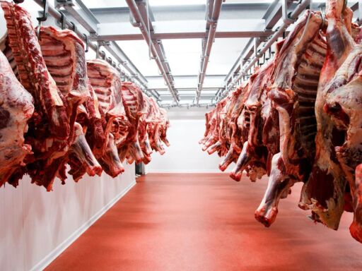 España aboga por el dialogo con China ante amenazas contra sector porcino