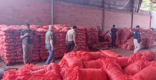 Productores panameños de cebolla solicitan mayor control contra el contrabando
