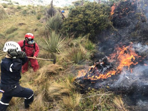 Ecuador gestiona cooperación internacional y ayuda humanitaria para atender incendios
