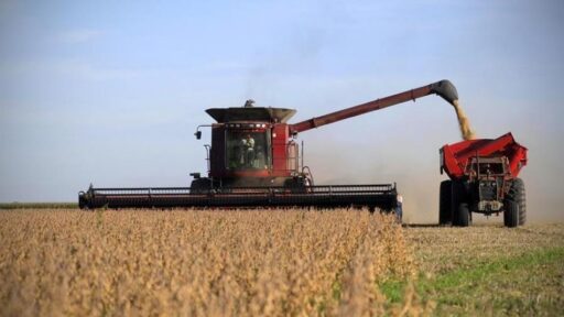 Productores argentinos exigen reducir la carga tributaria del sector agrícola