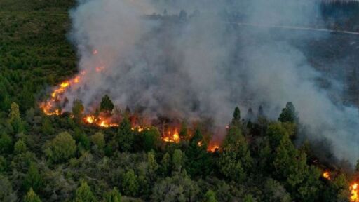 Incendios consumieron mas de 7.000 hectáreas en Argentina