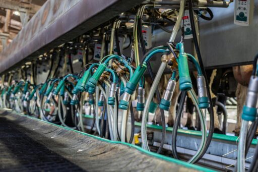 Fedegan: El paro ocasionó la pérdida de más de 7 millones de litros de leche