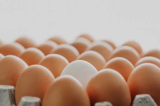 Autoridades sanitarias alertan por brote de salmonella en 9 estados