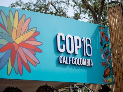 COP16 inició este 21 de octubre bajo el lema “Paz con la naturaleza”