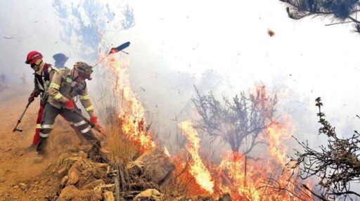 Incendios en Bolivia arrasan 9,8 millones de hectáreas.