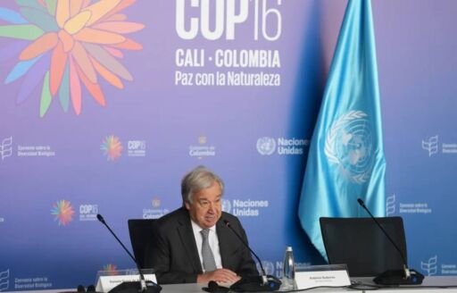 António Guterres en la COP16: “La naturaleza no es un recurso infinito”