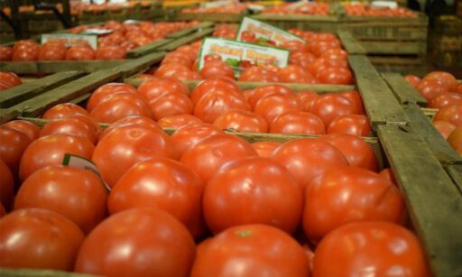 Productores paraguayos de tomate exigen tomar medidas para frenar contrabando