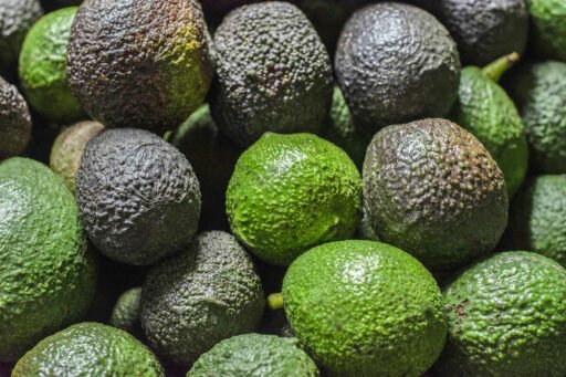 Aumentan exportaciones de aguacate Hass desde Colombia