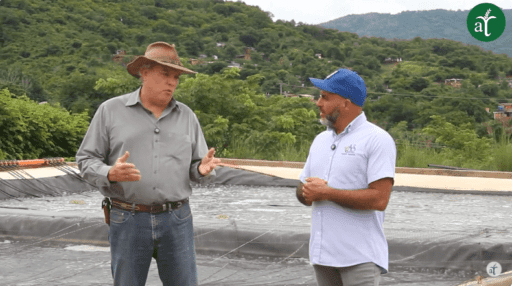 Futuro de la Acuicultura: Un vistazo a una de las granjas de tilapia más avanzadas de Venezuela