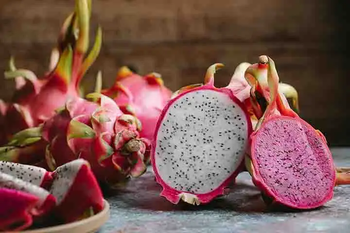 Pitahaya - cultivo de pitahaya