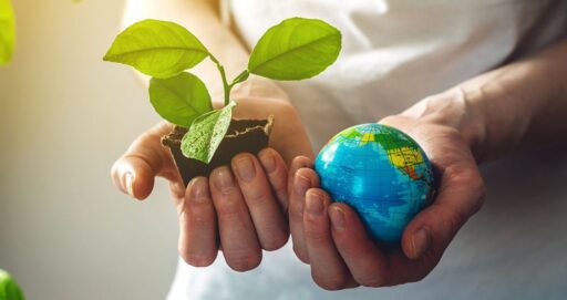 250 empresas venezolanas optarán por la certificación verde para exportar a la UE