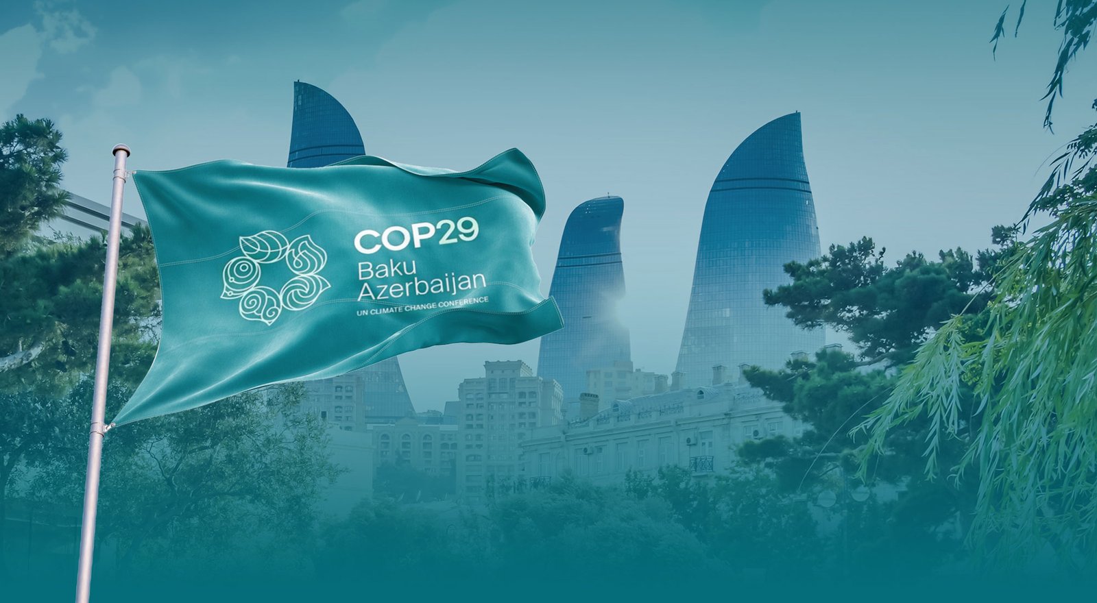 COP 29