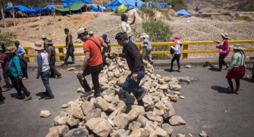 Avicultores de Bolivia en alerta tras cuantiosas pérdidas económicas por bloqueos