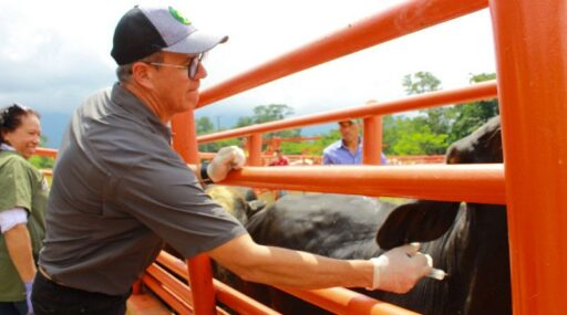 Inició segundo ciclo de vacunación contra la fiebre aftosa en Venezuela