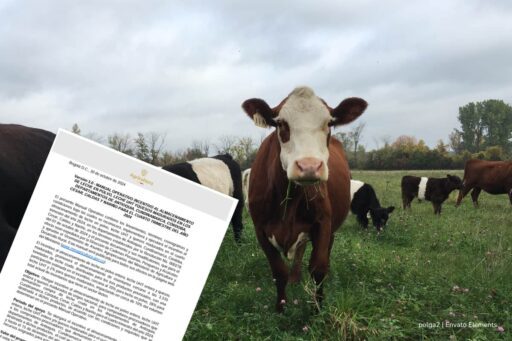 Colombia lanza plan para incentivar el almacenamiento de leche