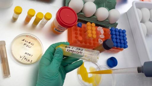 Canadá notifica primer caso de influenza aviar H5N1 en humanos