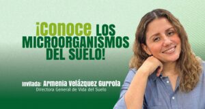 Microorganismos del suelo: Héroes ocultos de la agricultura