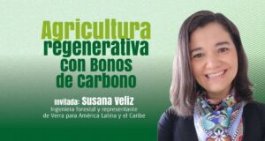Bonos de Carbono y su Impacto en la Agricultura Regenerativa