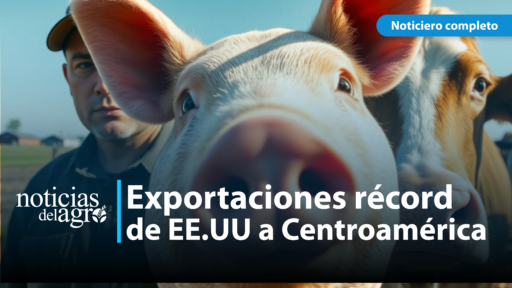 Las exportaciones de carne de cerdo de EE.UU. a Centroamérica siguen creciendo