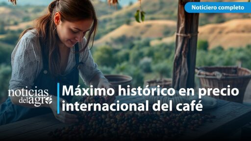 El precio de café se eleva sin precedente en los mercados internacionales