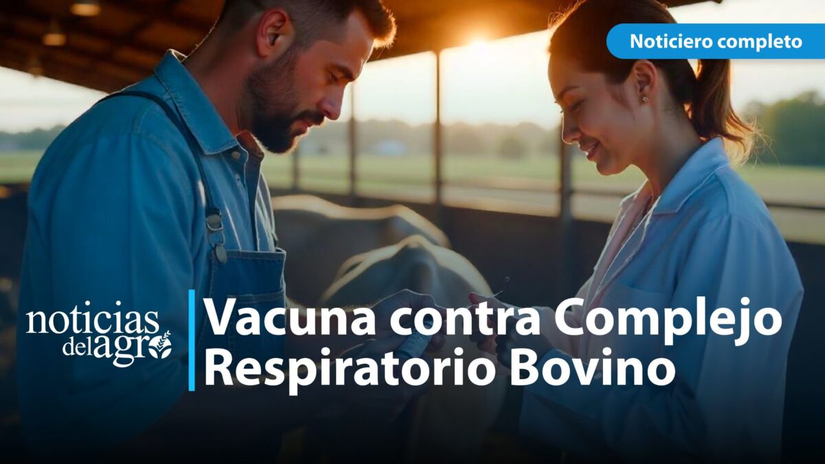 Complejo Respiratorio Bovino