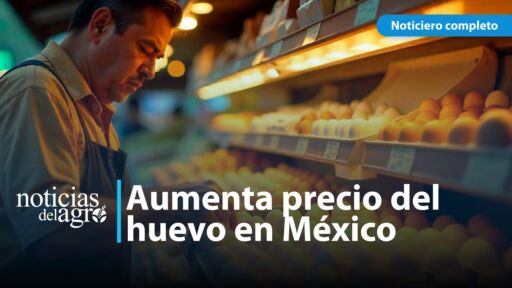 Aumenta precio del huevo en México por escasez en Estados Unidos