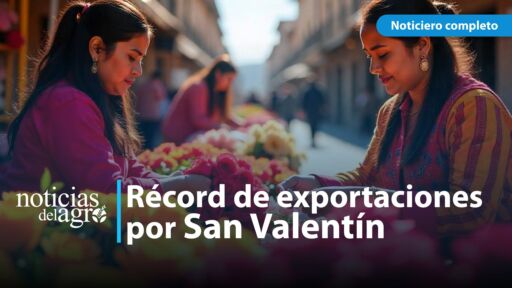 Día de San Valentín impulsó exportaciones récord de flores en Ecuador