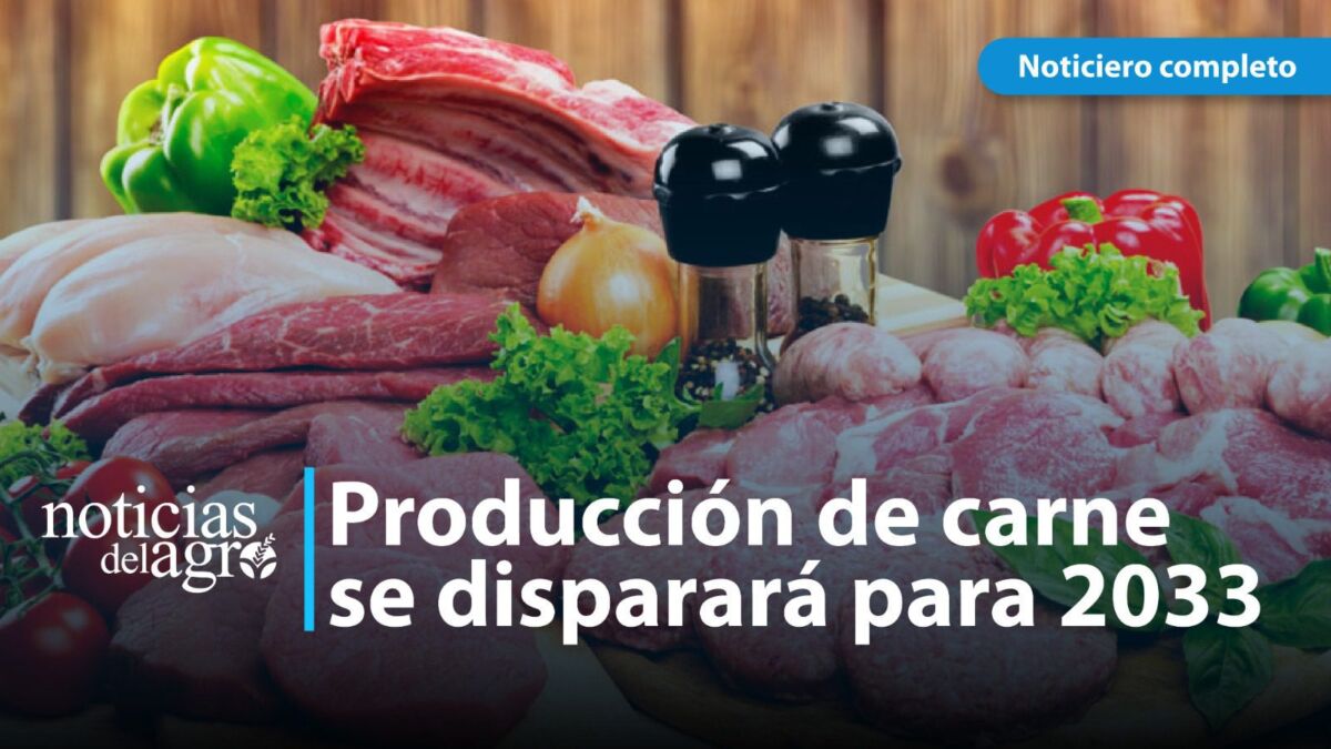 producción globall de carne