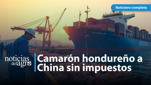 Honduras exportó camarones a China sin aranceles