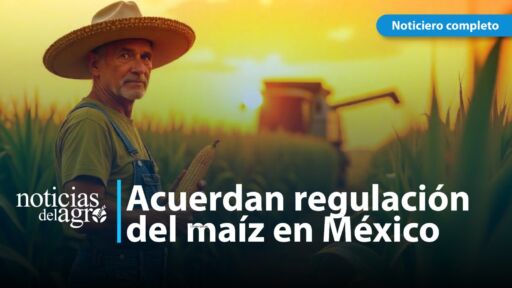Sectores público y privado de México se manifiestan a favor de regular la comercialización de maíz