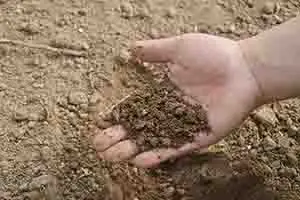 Análisis de suelos agrícolas: ¿Cómo se realiza y cuáles son sus tipos?