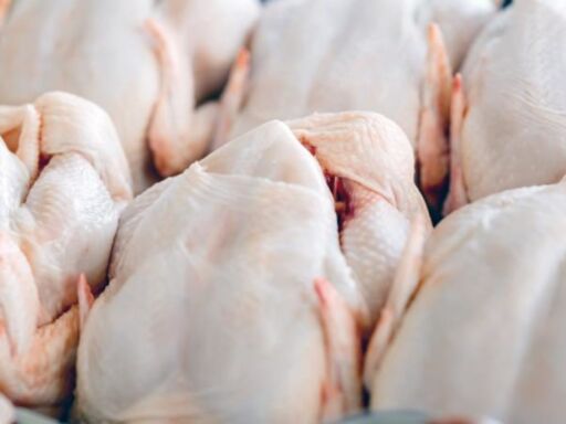 Los brotes mundiales de gripe aviar impulsan las exportaciones de pollo en Brasil