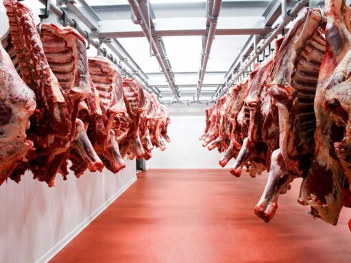 Colombia en recta final del proceso para exportación de carne bovina a EE.UU.
