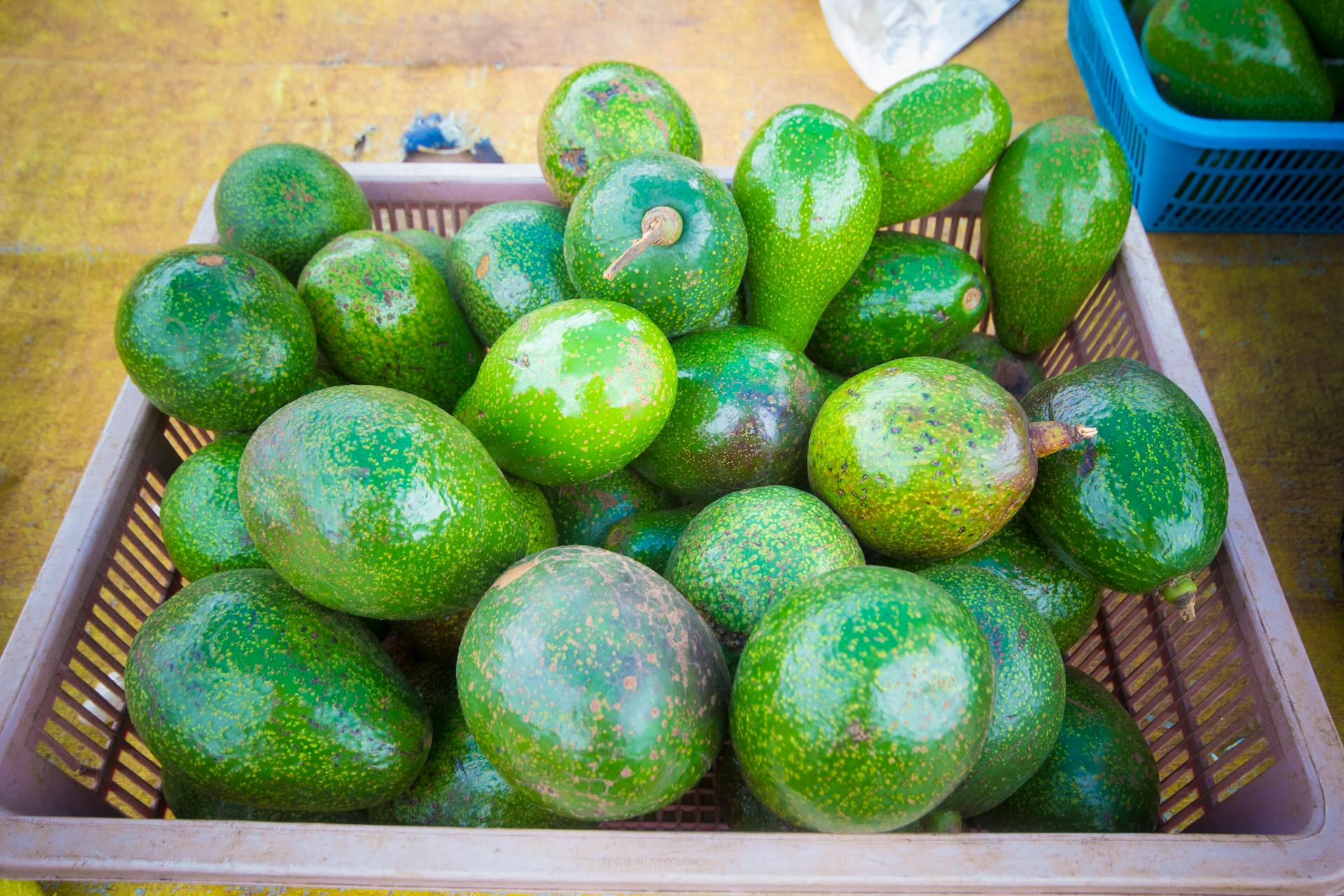 aguacate Hass en Colombia