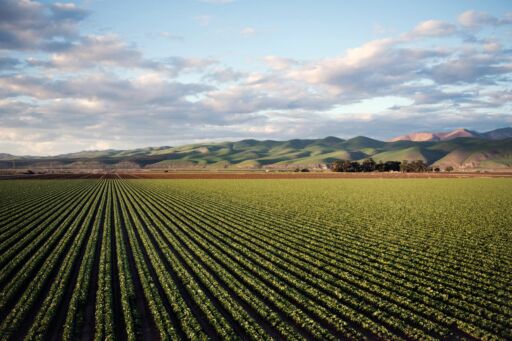 La UE reitera compromiso con una política agrícola inclusiva y sostenible