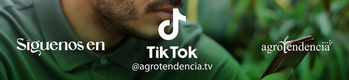 síguenos en tiktok