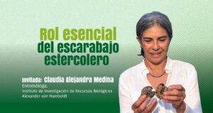 ¡No Subestimes a los Escarabajos! Su Importancia en Nuestros Ecosistemas