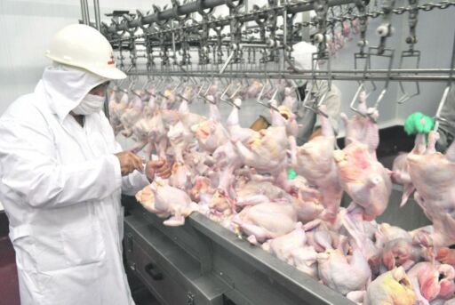 Colombia logra acceso histórico al mercado de Bahamas para exportar carne de pollo