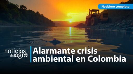 El tráfico ilegal y la deforestación amenazan la fauna y flora en Colombia