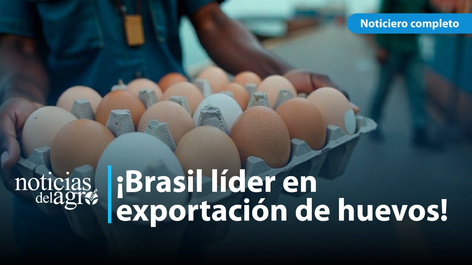 huevos brasileños