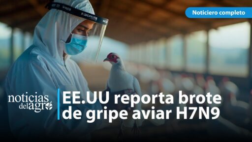 Detectan brote de gripe aviar H7N9 en granja de Misisipi