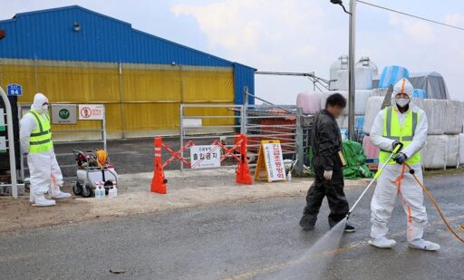 China y Corea del Sur notificaron casos de fiebre aftosa